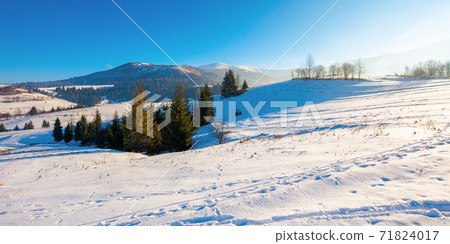 mountainous rural landscape in wintertime. wonderful frosty sunny day. trees on the snow covered hills. mountainous rural landscape in wintertime. wonderful frosty sunny day. trees on the snow covered hills. 71824017