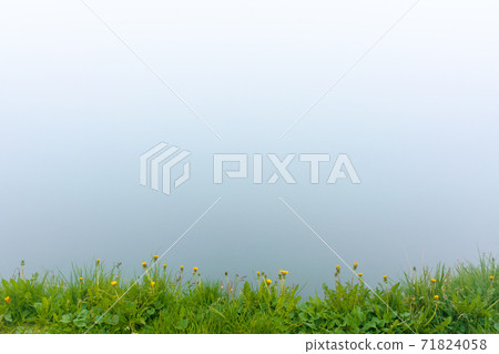 fog on the lake. grassy shore with rocks. overcast sky. mysterious nature. poor visibility concept fog on the lake. grassy shore with rocks. overcast sky. mysterious nature. poor visibility concept 71824058