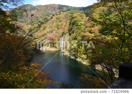 Autumn leaves near the suspension bridge in Shiobara retrospective # 29 Autumn leaves near the suspension bridge in Shiobara retrospective # 29 71824066