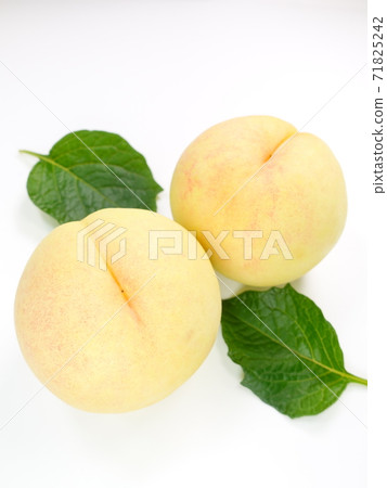 White peach peach peach peach 71825242