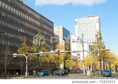 禦堂筋和銀杏aki 71825813