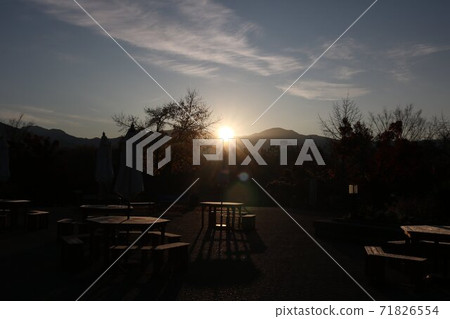 公園的光與影在黎明的早晨的陽光中閃耀 71826554