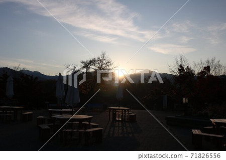 公園的光與影在黎明的早晨的陽光中閃耀 71826556