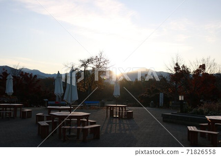 公園的光與影在黎明的早晨的陽光中閃耀 71826558