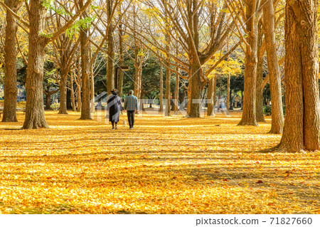 Elderly couple taking a walk in the autumn park Elderly couple taking a walk in the autumn park 71827660