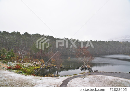 Snowy morning backyard and Yarokunuma Snowy morning backyard and Yarokunuma 71828405