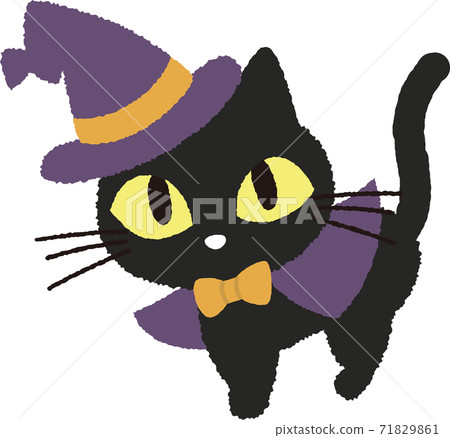 Black cat  71829861