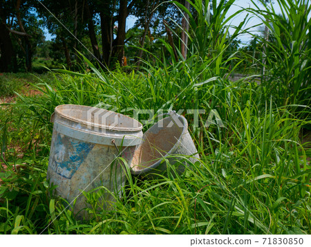 Dirty bucket left in the grass (Khao Lak, Phang Nga, Kingdom of Thailand) 71830850