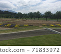 Landscape of Niigata 71833972