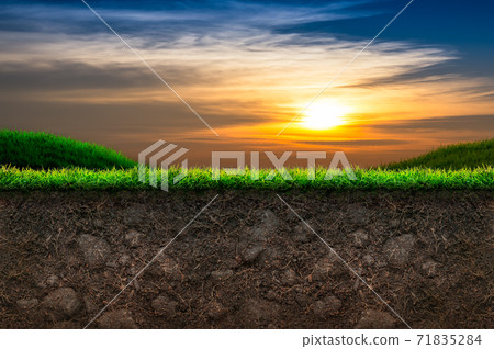 Soil and Grass in Sunset Background 71835284