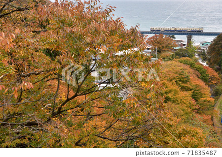 Train running on the Gono Line in autumn colors 71835487