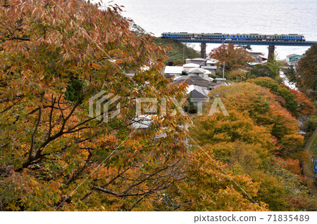 "Resort Shirakami" running on the Gono Line in autumn colors 71835489