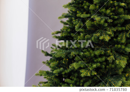 Beautiful holdiay decorated room with Christmas tree with presents under it Beautiful holdiay decorated room with Christmas tree with presents under it 71835780