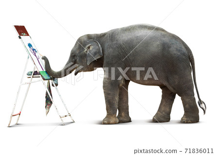Elephant painting isolated Elephant painting isolated 71836011