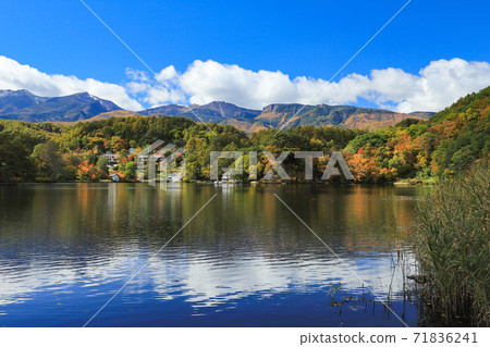 秋葉湖Matsubara 71836241