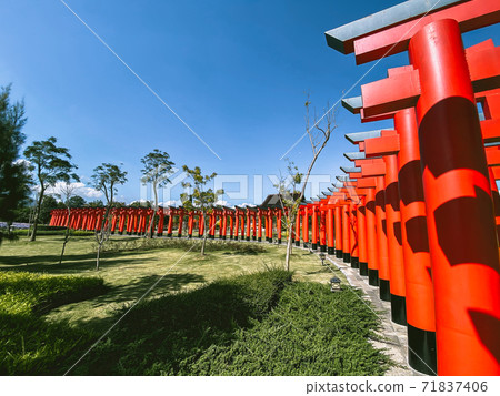 Hinoki land japan attraction in Chai Prakan District, Chiang Mai, Thailand Hinoki land japan attraction in Chai Prakan District, Chiang Mai, Thailand 71837406