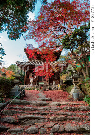 四國聖地第88屆Fudasho Shiramineji秋葉 71837733