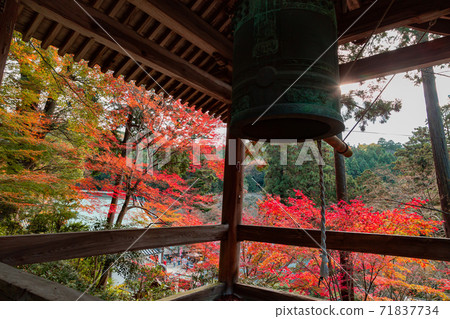 四國聖地第88屆Fudasho Shiramineji秋葉 71837734