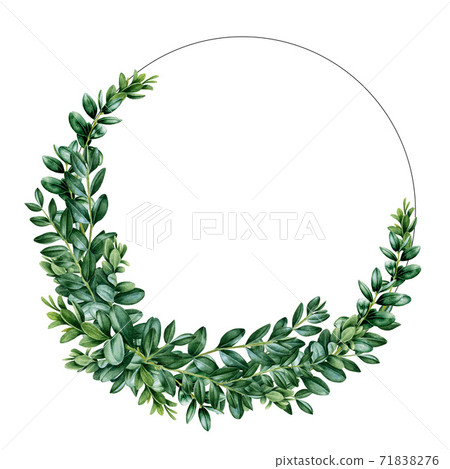 Buxus wreath watercolor illustration. Buxus wreath watercolor illustration. 71838276