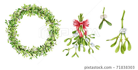 Mistletoe branch watercolor illustration. 71838303