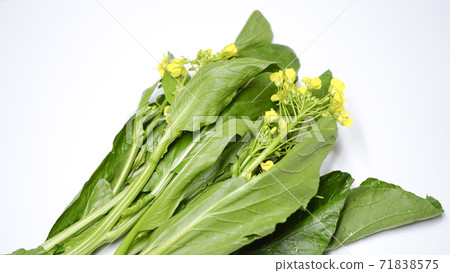 Image of asparagus Image of asparagus 71838575