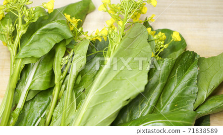 Image of asparagus Image of asparagus 71838589