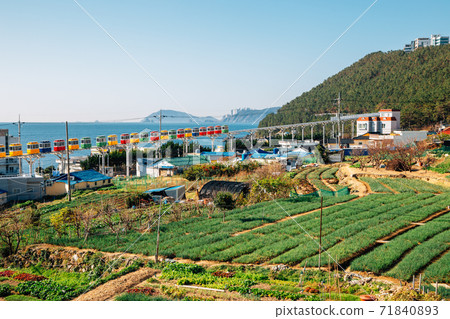View of Cheongsapo village and blue ocean in Busan, Korea View of Cheongsapo village and blue ocean in Busan, Korea 71840893
