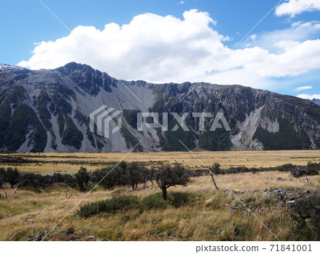 new zealand, mount. cook, landscape 71841001