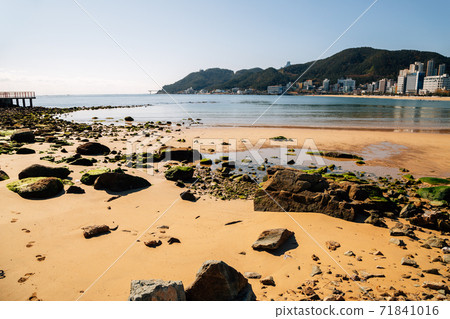 Songjeong beach with modern buildings in Busan, Korea Songjeong beach with modern buildings in Busan, Korea 71841016