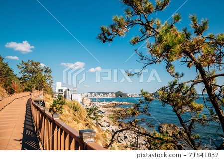 Coastal trail road from Cheongsapo to Songjeong beach in Busan, Korea 71841032