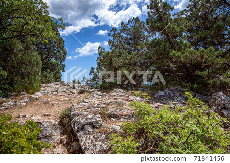 Beautiful natural landscape on Mount Koshka, a landmark in Crimea 71841456