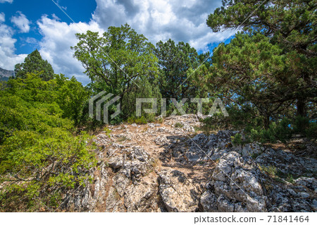 Beautiful natural landscape on Mount Koshka, a landmark in Crimea 71841464