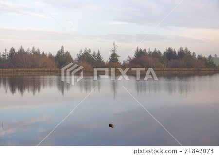 Metal post sticks out from still lake water, with forest reflection. Metal post sticks out from still lake water, with forest reflection. 71842073