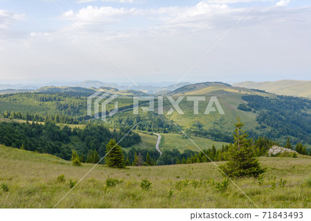 Summer mountain stone, grass and fir tree 71843493