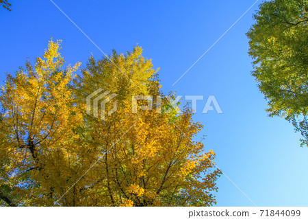 熊本縣政府 71844099