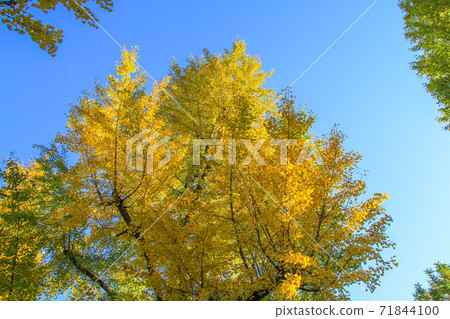 Kumamoto prefectural government office Kumamoto prefectural government office 71844100