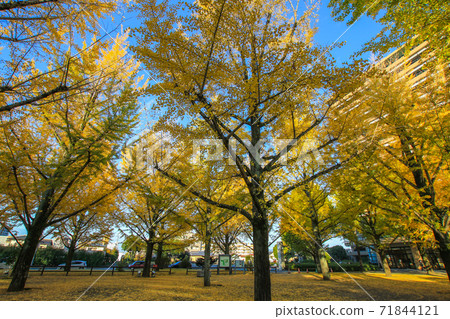 Kumamoto prefectural government office 71844121