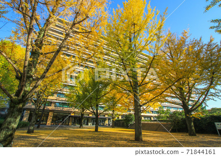 Kumamoto prefectural government office 71844161