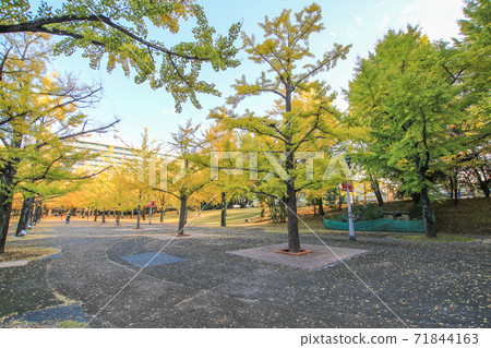 Kumamoto prefectural government office 71844163