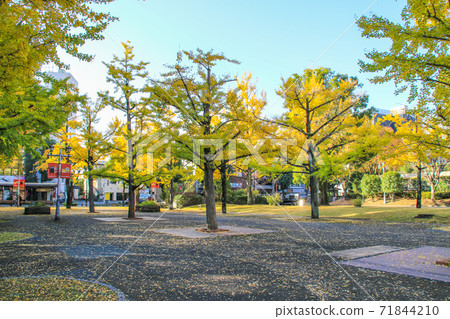 Kumamoto prefectural government office 71844210