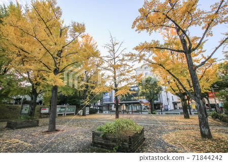 Kumamoto prefectural government office 71844242