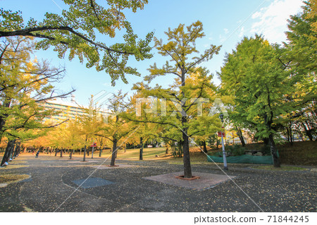 熊本縣政府 71844245