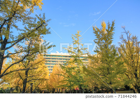 熊本縣政府 71844246