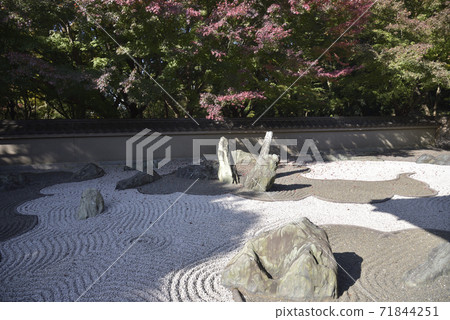 龍園西園龍門花園 龍園西園龍門花園 71844251