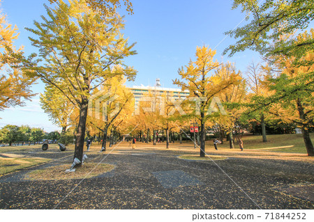 Kumamoto prefectural government office 71844252