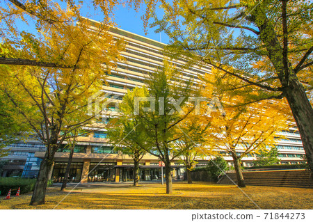 Kumamoto prefectural government office 71844273