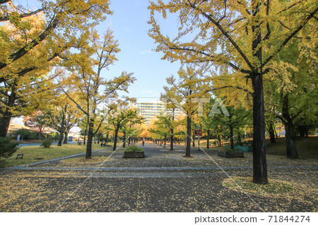 Kumamoto prefectural government office 71844274