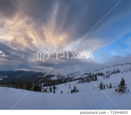Picturesque winter windy and cloudy morning alps. Ukrainian Carpathians highest ridge Chornohora with peaks of Hoverla and Petros mountains. View from Svydovets ridge  Dragobrat ski resort. 71844605