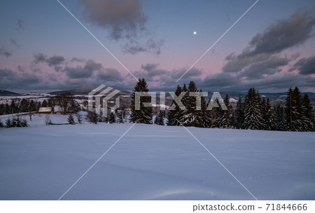 Alpine village outskirts in last evening sunset sun light. Winter snowy hills and fir trees. 71844666