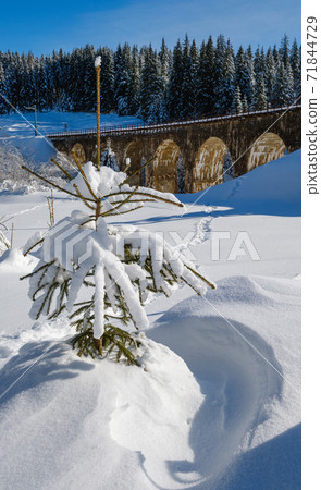 Stone viaduct (arch bridge) on railway through mountain snowy fir forest. Snow drifts on wayside and hoarfrost on trees and electric line wires. Stone viaduct (arch bridge) on railway through mountain snowy fir forest. Snow drifts on wayside and hoarfrost on trees and electric line wires. 71844729